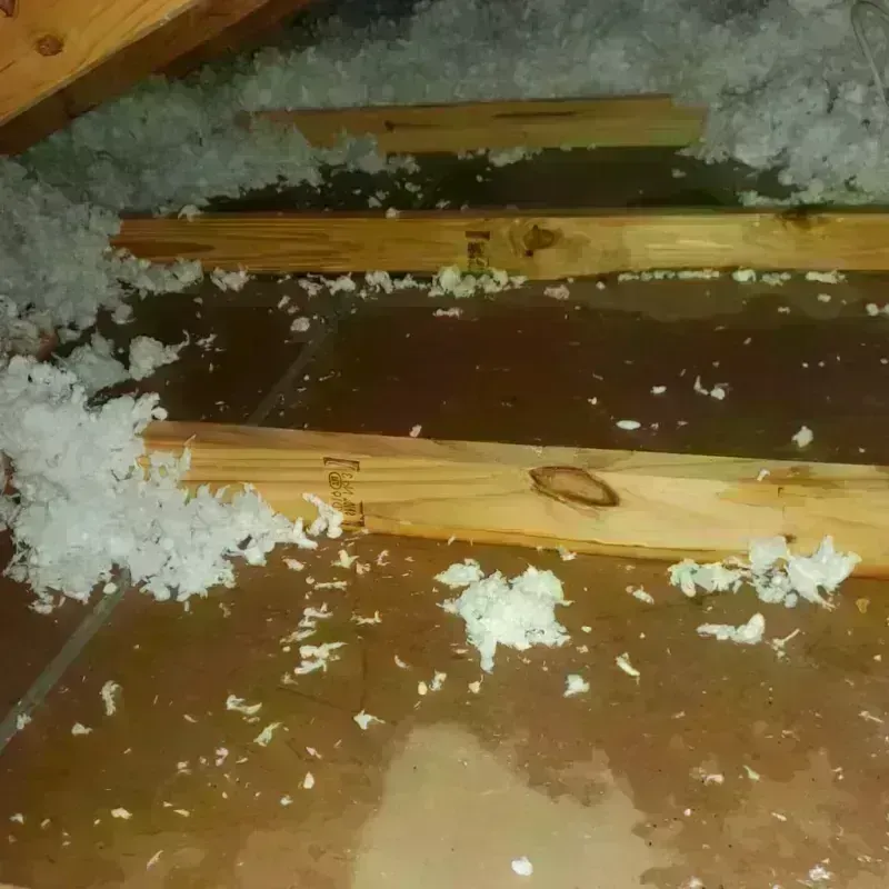 Attic Water Damage in Yorkville, OH