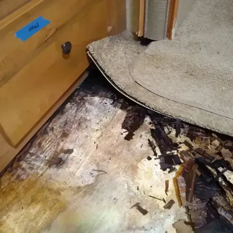 Best Wood Floor Water Damage Service in Yorkville, OH